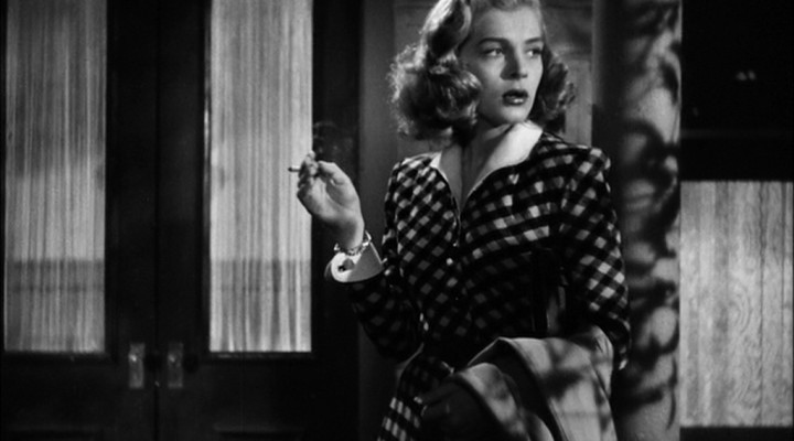The Penny-Pinching Cinephile: Noirvember Edition