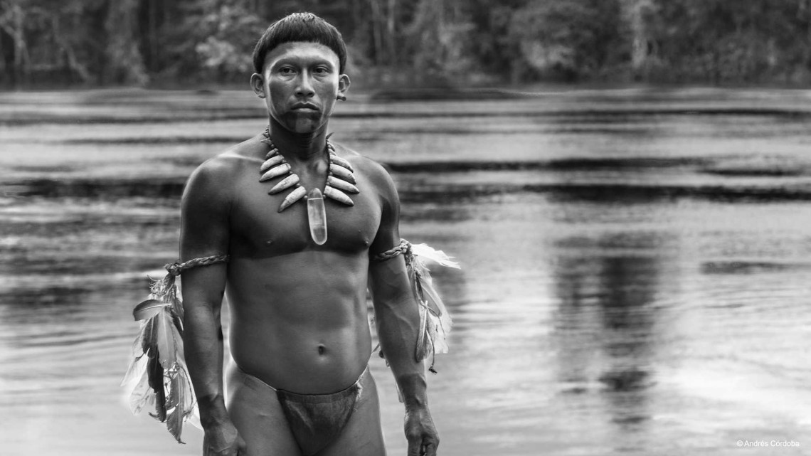 Now Playing: “Embrace of the Serpent”