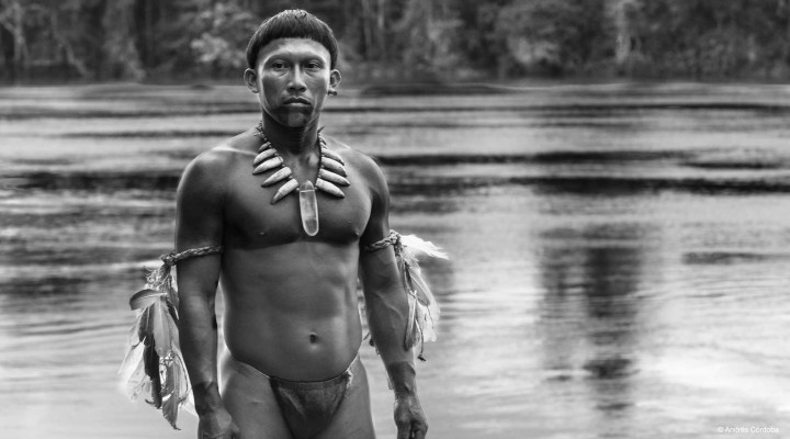 Now Playing: “Embrace of the Serpent”