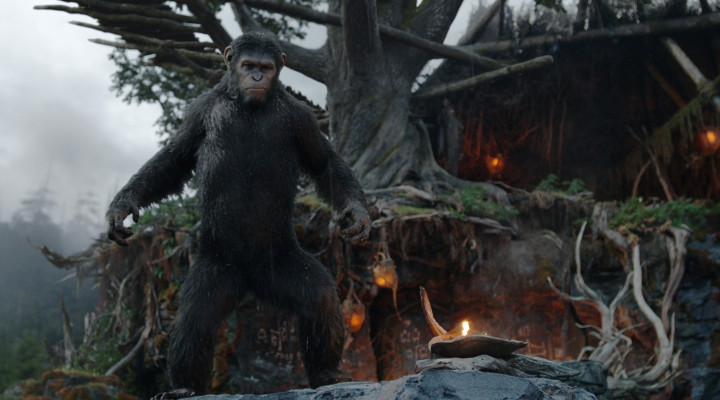 “Dawn of the Planet of the Apes” A Socially Conscious But Slightly Trivial Blockbuster