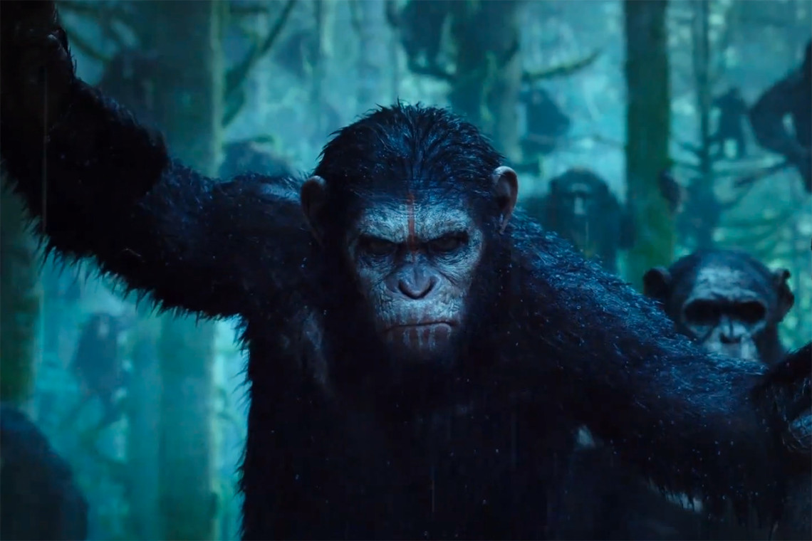 Primates: Human Mirrors in Cinema