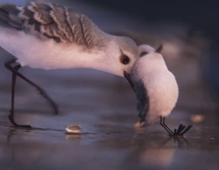 The Short and Sweet Side of the Oscars